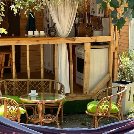 каравана бамбоо 캠프장